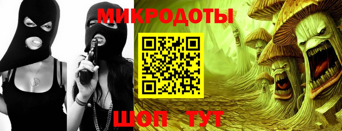 Галлюциногенные грибы Cubensis Лесной