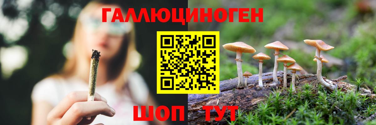 Псилоцибиновые грибы GOLDEN TEACHER  Галлюциногенные грибы мицелий  Вход с VPN  Лесной 