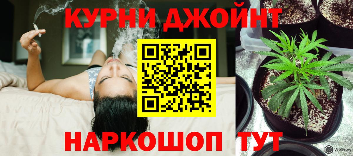 Конопля марихуана  Шишки марихуана White Widow  Шишки марихуана VHQ  Бошки Шишки VHQ  Лесной  Вход с VPN 